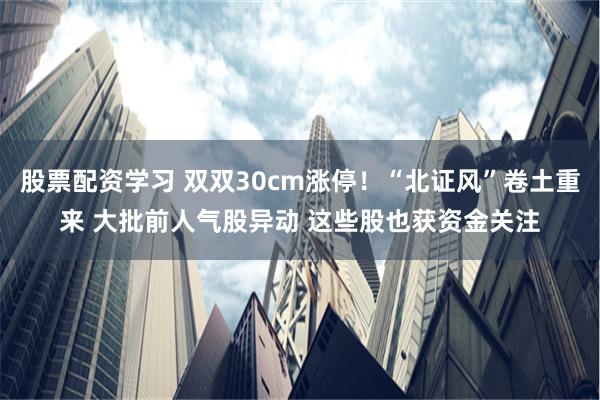 股票配资学习 双双30cm涨停！“北证风”卷土重来 大批前人气股异动 这些股也获资金关注