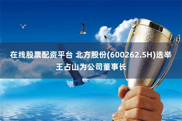 在线股票配资平台 北方股份(600262.SH)选举王占山为公司董事长