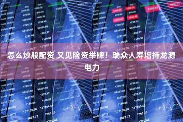 怎么炒股配资 又见险资举牌！瑞众人寿增持龙源电力