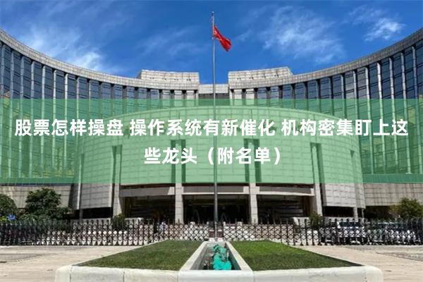 股票怎样操盘 操作系统有新催化 机构密集盯上这些龙头（附名单）