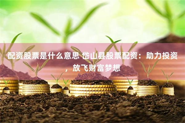 配资股票是什么意思 岱山县股票配资：助力投资，放飞财富梦想