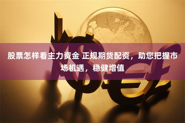股票怎样看主力资金 正规期货配资，助您把握市场机遇，稳健增值